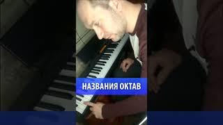 Названия октав на фортепиано | Сахарфеджио | уроки музыки | сольфеджио