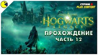 HOGWARTS LEGACY | ПОСТИГАЕМ ИМПЕРИУС | Стрим PLUS CONTENT #12