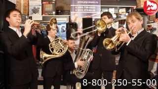 Духовые инструменты Stagg Wind Instruments («New Life Brass»)