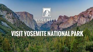 Visit Yosemite National Park