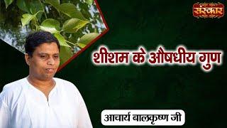 शीशम के औषधीय गुण | Benefits of Rosewood | Acharya Balkrishna Ji Ke Nuskhe | Sanskar TV