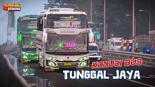 Konvoi bus Tunggal Jaya | Assetto Corsa Indonesia