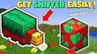 GET MINECRAFT SNIFFER Easily! Minecraft 1.20  Bedrock and Java! (How to get sniffer)