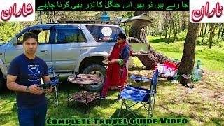 SHARAN FOREST + Camping Pods // Most Beautiful Place in NARAN kaghan valley  #gopaknorth