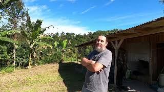 FARTURA NA ROÇA É COMER BEM- A AGROFLORESTA DO JEFF, VIVENDA ARVORE DA VIDA