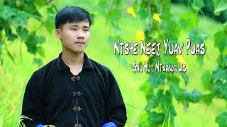 Ntshe Neej Yuav Puas - Ntxawg Lis || oudio version 2023/8/25