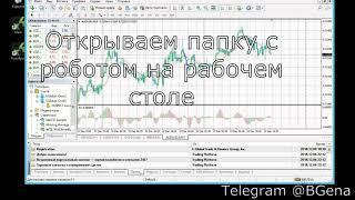 Установка робота wallStreetBot