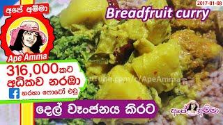  දෙල් වෑංජනය කිරට හරියට උයමු Authentic breadfruit curry(Del Curry) recipe in Sinhala by ApeAmma
