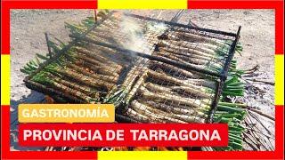 COMPLETE GUIDE ▶ GASTRONOMY of TARRAGONA (SPAIN)   Typical dishes, eating, cooking, recipes...