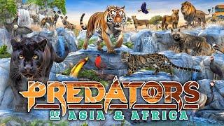 Zoo Tours: NEW! Predators of Asia & Africa | Fort Worth Zoo