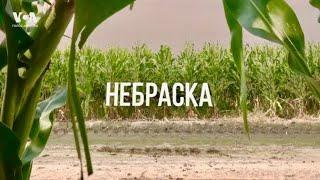 НЕБРАСКА | Секреты американской глубинки, попкорн и Уоррен Баффет