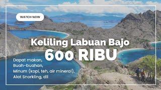 SOLO TRAVELING KE LABUAN BAJO (PULAU PADAR, PULAU KOMODO, PINK BEACH)