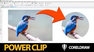 Como Colocar Imagem Dentro de uma Forma no CorelDraw | Efeito PowerClip no CorelDraw