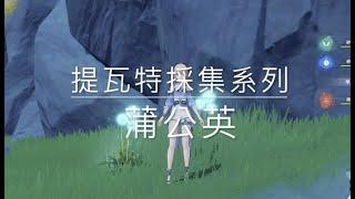 【原神】蒲公英籽 //Dandelion Seed Farming Route