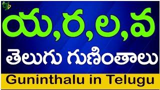 య ర ల వ గుణింతాలు | Ya Ra La Va guninthalu |How to write Telugu varnamala guninthalu