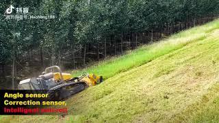 HAOHONG smart tiger Remote control lawn mower