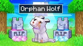 Aphmau Is An ORPHAN WOLF In Minecraft!