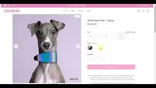 Mode Shopify Theme Example - Love Hound Store - Detailed Walk-Through | ProQuotient