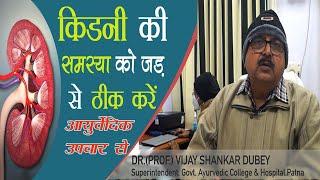 आयुर्वेदिक  उपचार से किडनी (Kidney) की समस्या को जड़ से ठीक करें || Dr.Prof.Vijay Shankar Dubey ||