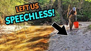 These Creek Banks Were Hiding Our RAREST DISCOVERY Yet - An Unforgettable Find Shrouded in Mystery!