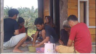 Ramai berkumpul di pondok meli. Lanjutkan pagar sapi mulai merusak kebun lagi