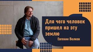 Для чего человек пришел на эту землю. Психолог Евгений Волков.