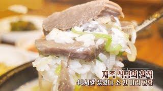 육수 48시간 끓이는 ‘장인 정신 소고기 곰탕’ @생방송 투데이 2451회 20191119