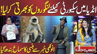 Recruited security langurs in India | Unique News | Hasb e Haal | Dunya News