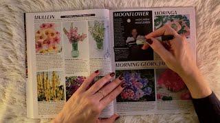 ASMR Catalog of Rare Seeds & Plants ~