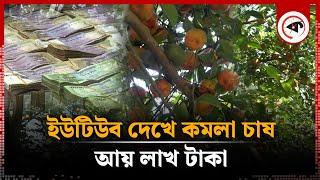 ইউটিউব দেখে কমলা চাষ, আয় লাখ টাকা | Orange Cultivation | Inspirational Story | Kalbela