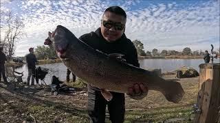 7lbs trout caught at Lake Camanche south shore pond with Notorious Custom Jigs stickbait.