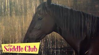 The Saddle Club Movie - Storm At Pine Hollow | HD Full Movie