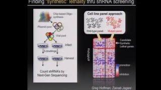 Towards robust and systematic translational systems for cancer therapeutic development