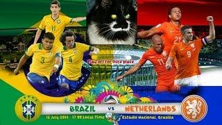 Brazil vs Netherlands: Vitek the cat prediction (World Cup 2014)