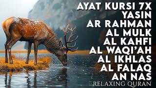 Surah AYAT KURSI, AR RAHMAN, YASIN, AL WAQIAH, AL MULK, Beautiful voice - AHMAD AL SHALABI