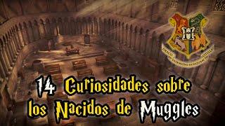 14 Curiosidades sobre los Nacidos de Muggles