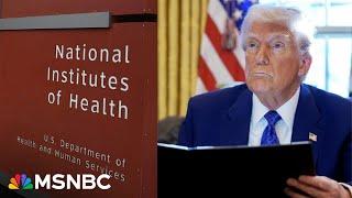 National Institutes of Health employee on ‘chilling effects’ of Trump’s health agency purge