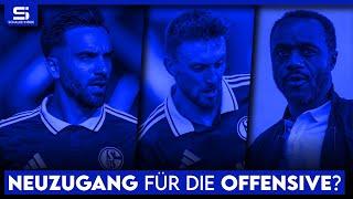 Neuer Zehner im Anflug? Wieder Ablöse für Neuzugang? 4er-Kette? Mohr in der Startelf? | S04 NEWS