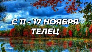 ТЕЛЕЦ. ️С 11 - 17 ноября 2024.️