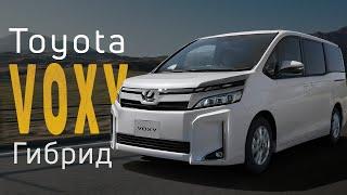 Всё про Toyota Voxy Hybrid (ZWR80). Реальный расход 5 литров? Лучший семейный минивэн?