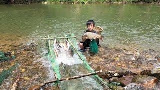 Long video about Highland boy Khai's amazing fish catching and trapping skills, Fish trapping skills