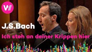 Ich steh an deiner Krippen hier | Christmas Oratorio - Bach (Collegium Vocale Gent)