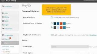 How to edit your profile in WordPress - Wordpress Tutorials at KVCHOSTING