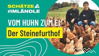 Vom Huhn zum Ei - Der Steinefurthof