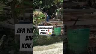 lihat apa yang terjadi⁉️ #viral #video #fyp #shorts