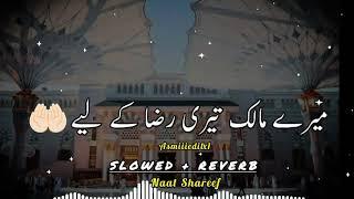 Mere Malik teri raza k liea Slowed Reverbed naat shareef Ramzan ul Mubarak Sharjeel x Slowed