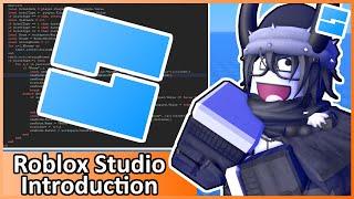 Roblox Studio Basics - Roblox Beginners Scripting Tutorial #1 (2024)