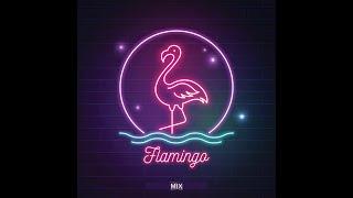 DK x GF - FLAMINGO MIX (Extended Rave Edition)