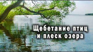 Отдохните на берегу озера под плеск спокойной воды и звуки птиц. 2 часа с природой.