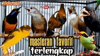 MASTERAN fAVORIT MURAI BATU  LENGKAP || TEMBAKAN SUPER KASAR TAJAM || berjedah 2jam